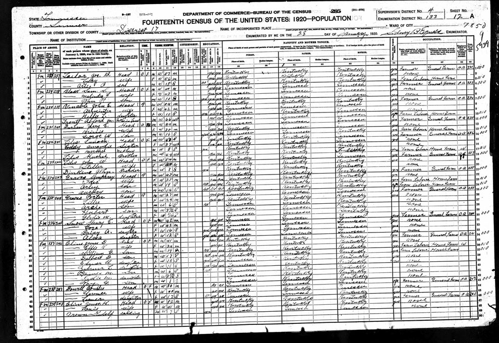 1920 Zelma Cline Census Sumner County TN